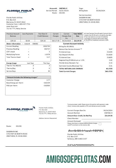 realista Modelo de fatura de serviços públicos de serviços públicos dos EUA, Flórida, em formatos Word e PDF